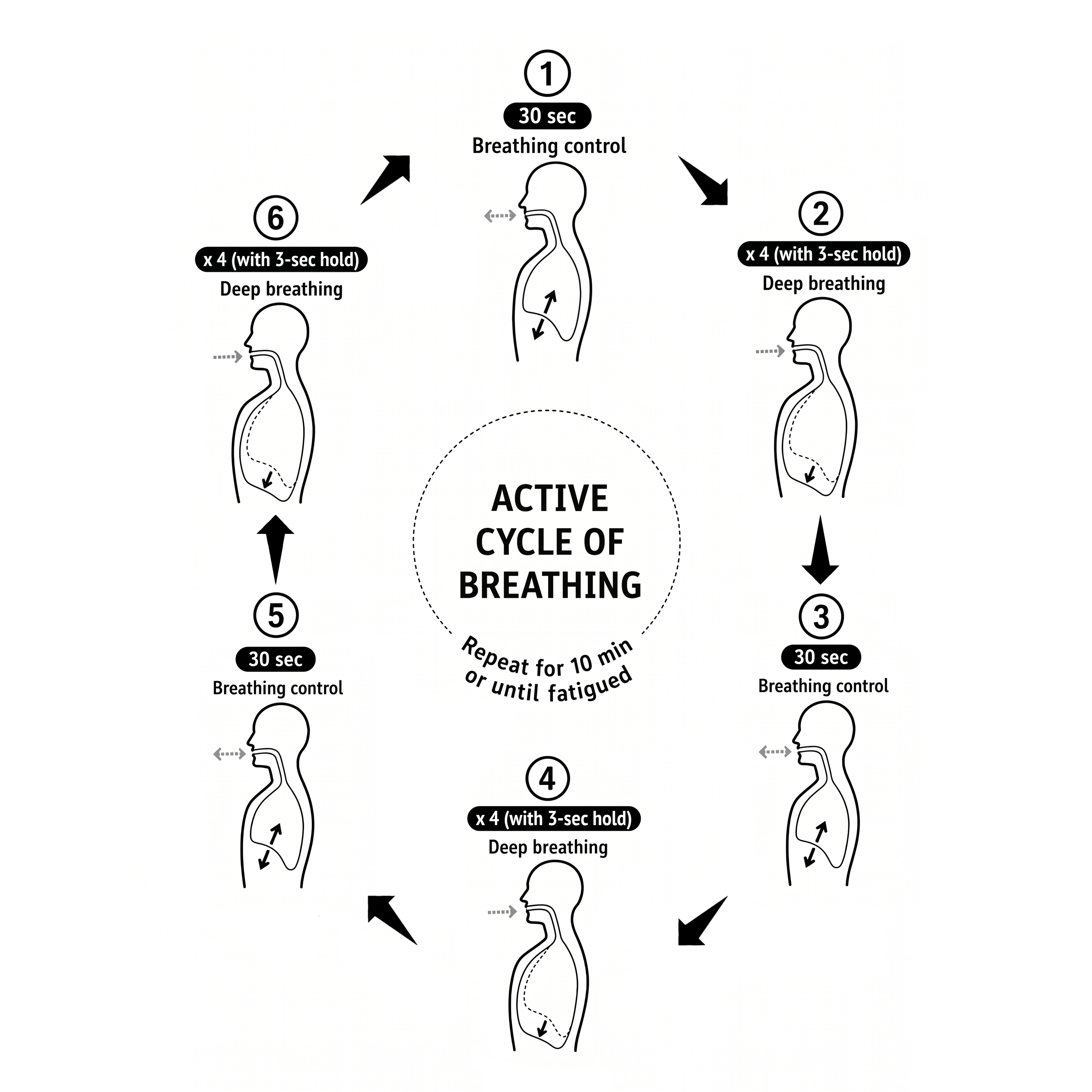 The active cycle of breathing for lung expansion, as a six-stage loop alternating 30 seconds of breathing control with four deep breaths each held for 3 seconds — repeated for about 10 minutes or until fatigued. There is no huff and no cough in this version