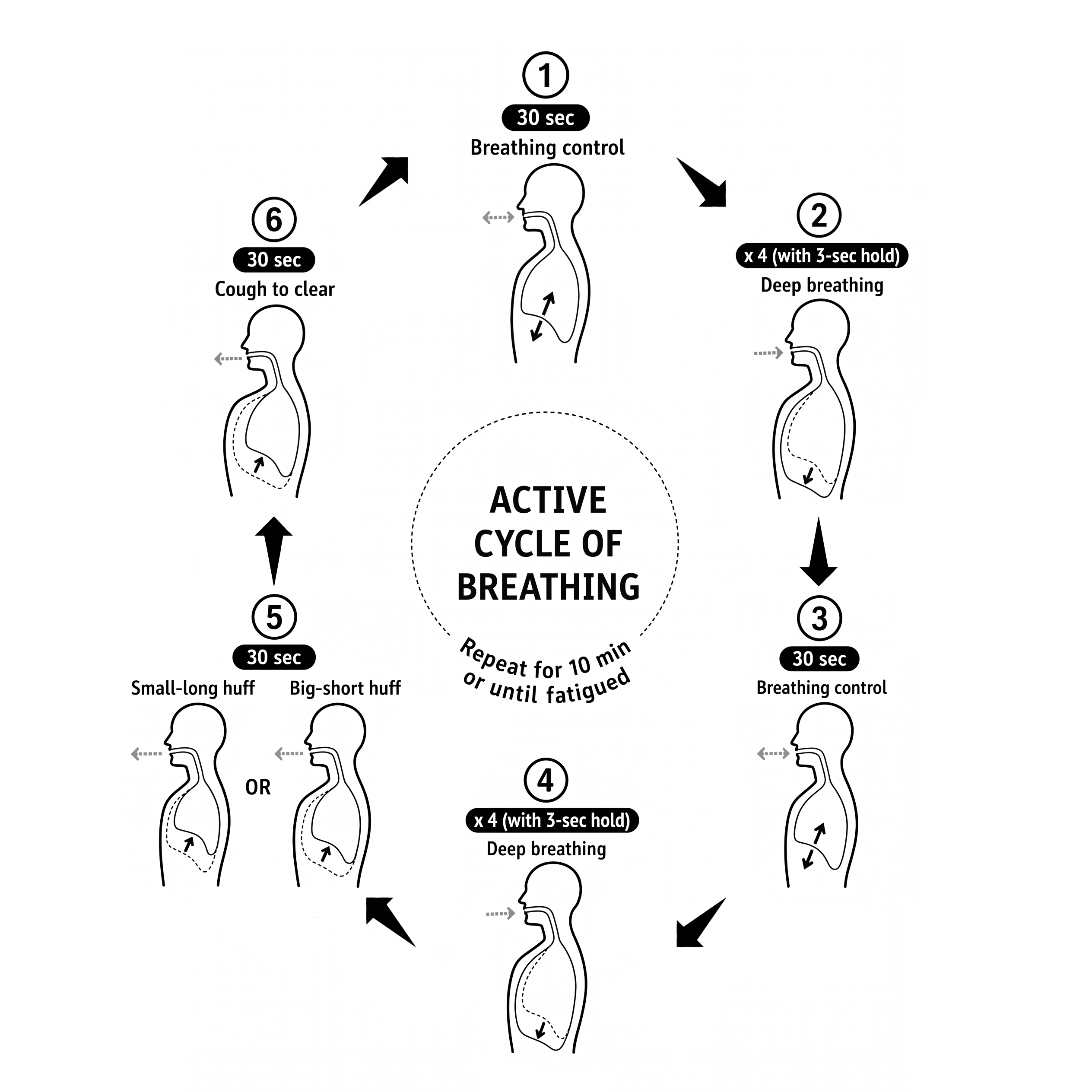 The active cycle of breathing for secretion clearance, as a six-stage loop: 30 seconds of breathing control, four deep breaths with a 3-second hold, breathing control, four more deep breaths, then a small-long or big-short huff, and a cough to clear — repeated for about 10 minutes or until fatigued