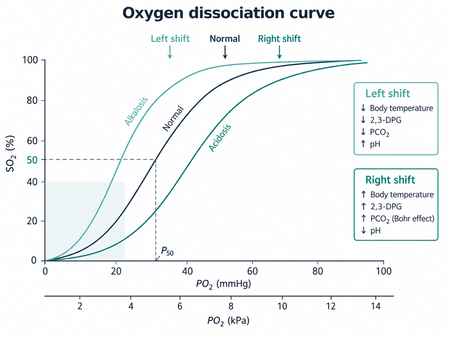 Oxyhaemoglobin dissociation curve